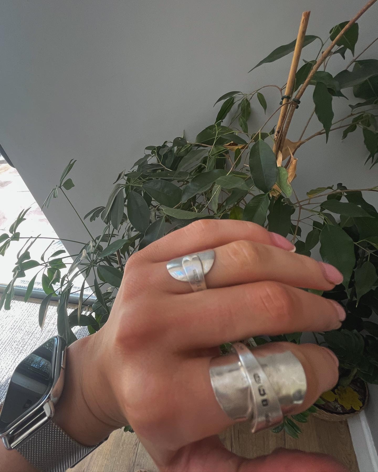 Salt Spoon Rings image 1