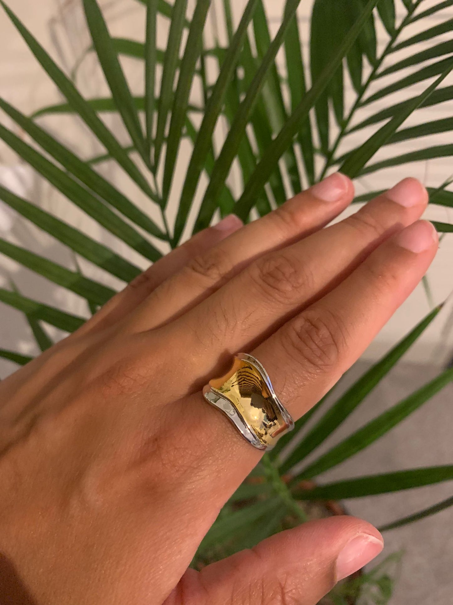 The Two Tone Ring image 2