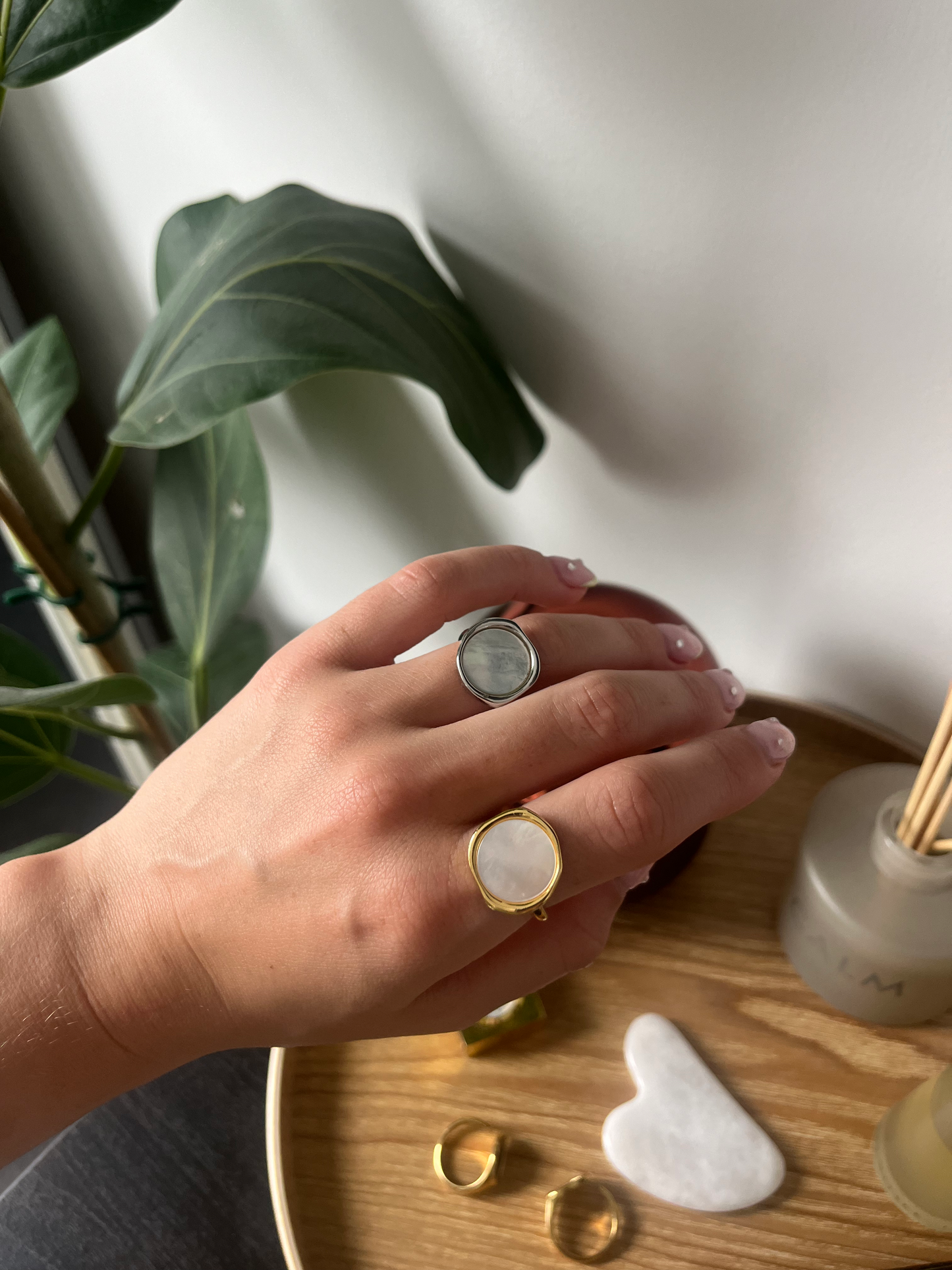 The Shell Ring image 1