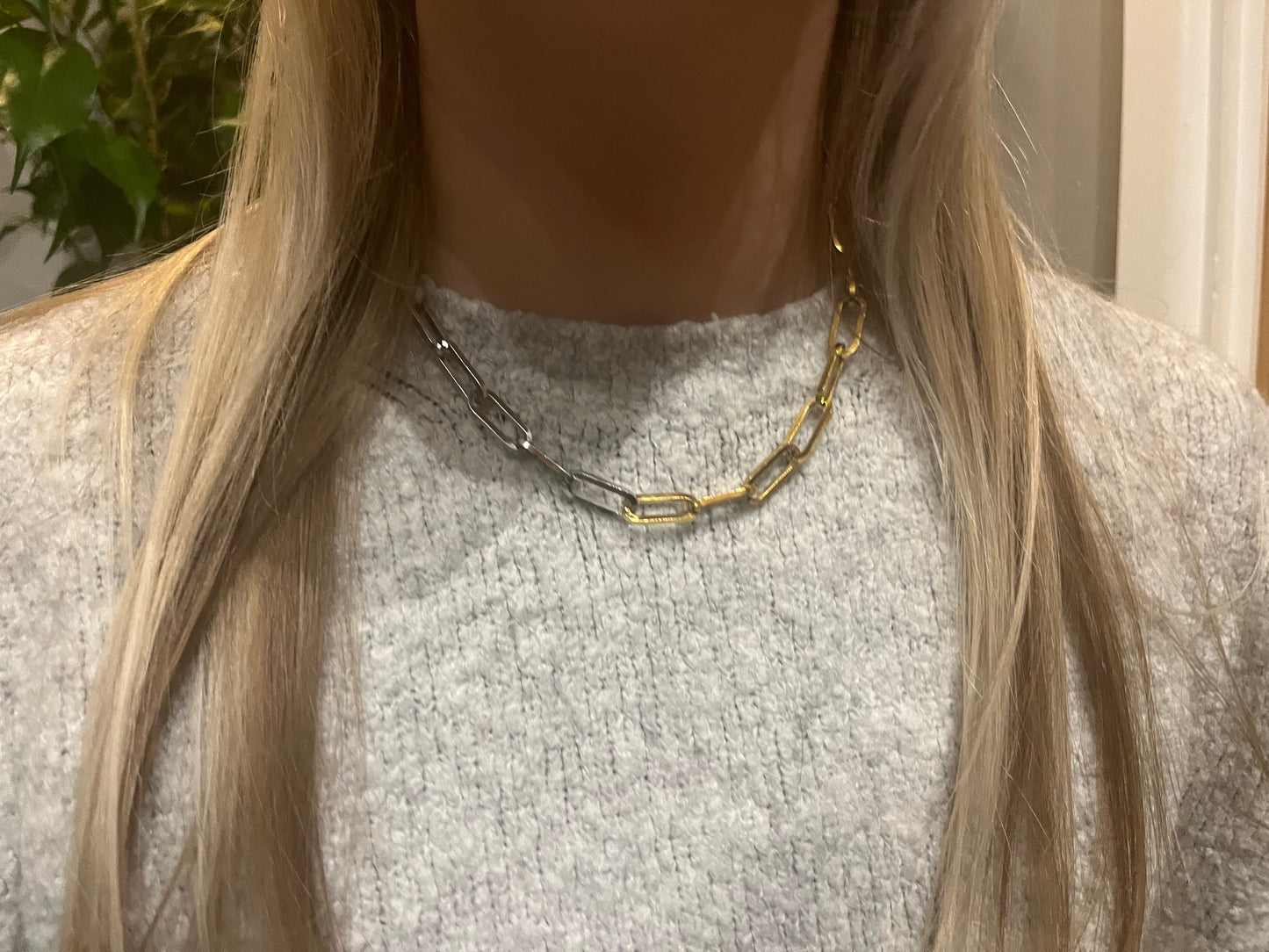 The Two Tone Necklace image 1
