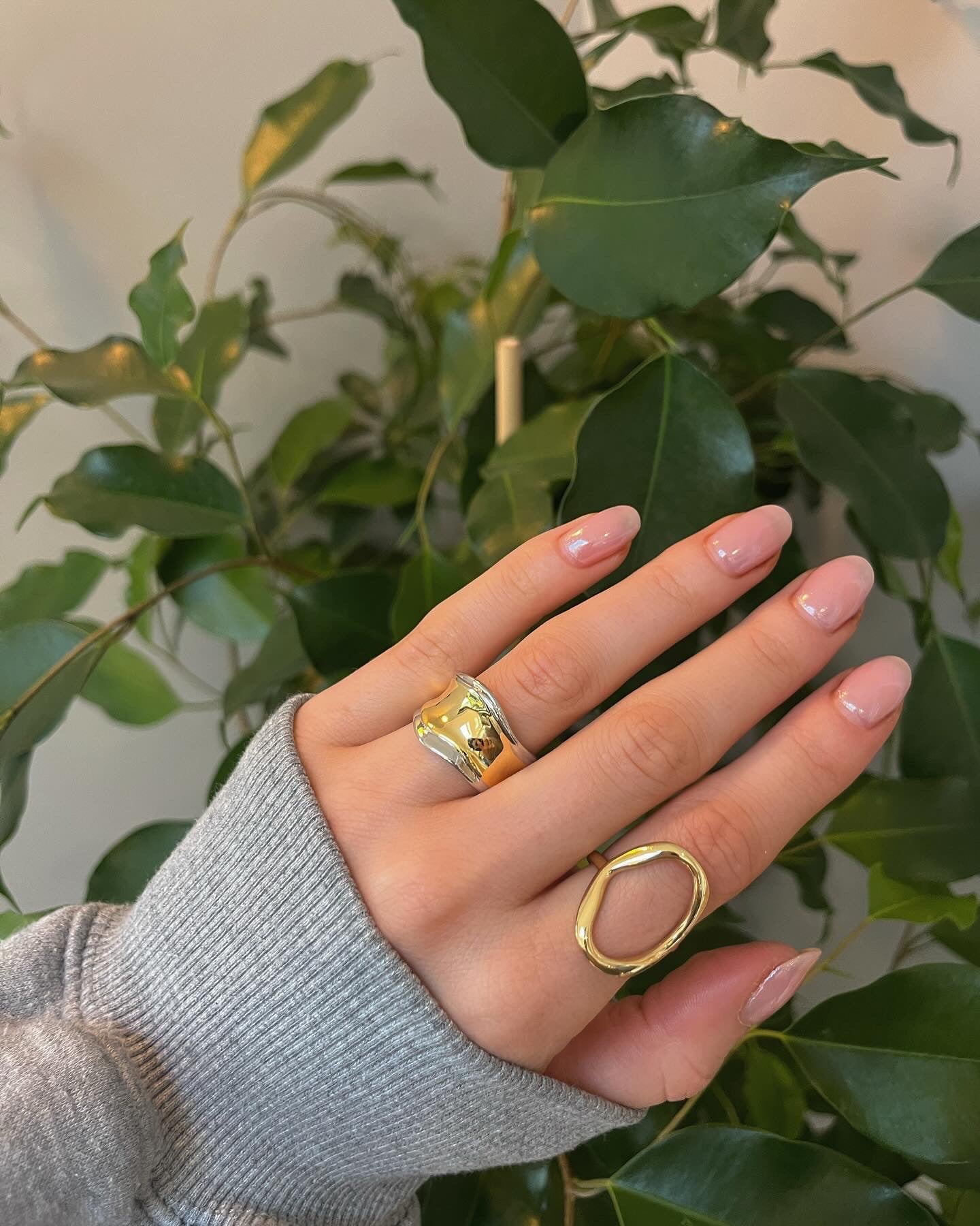 The Two Tone Ring image 1