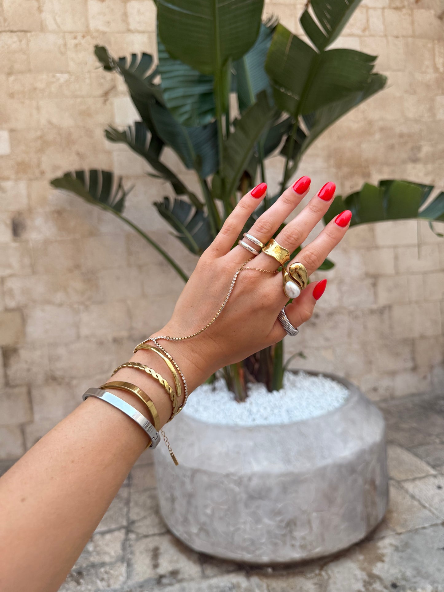 Hand with multiple gold rings and bracelets in front of a potted plant.