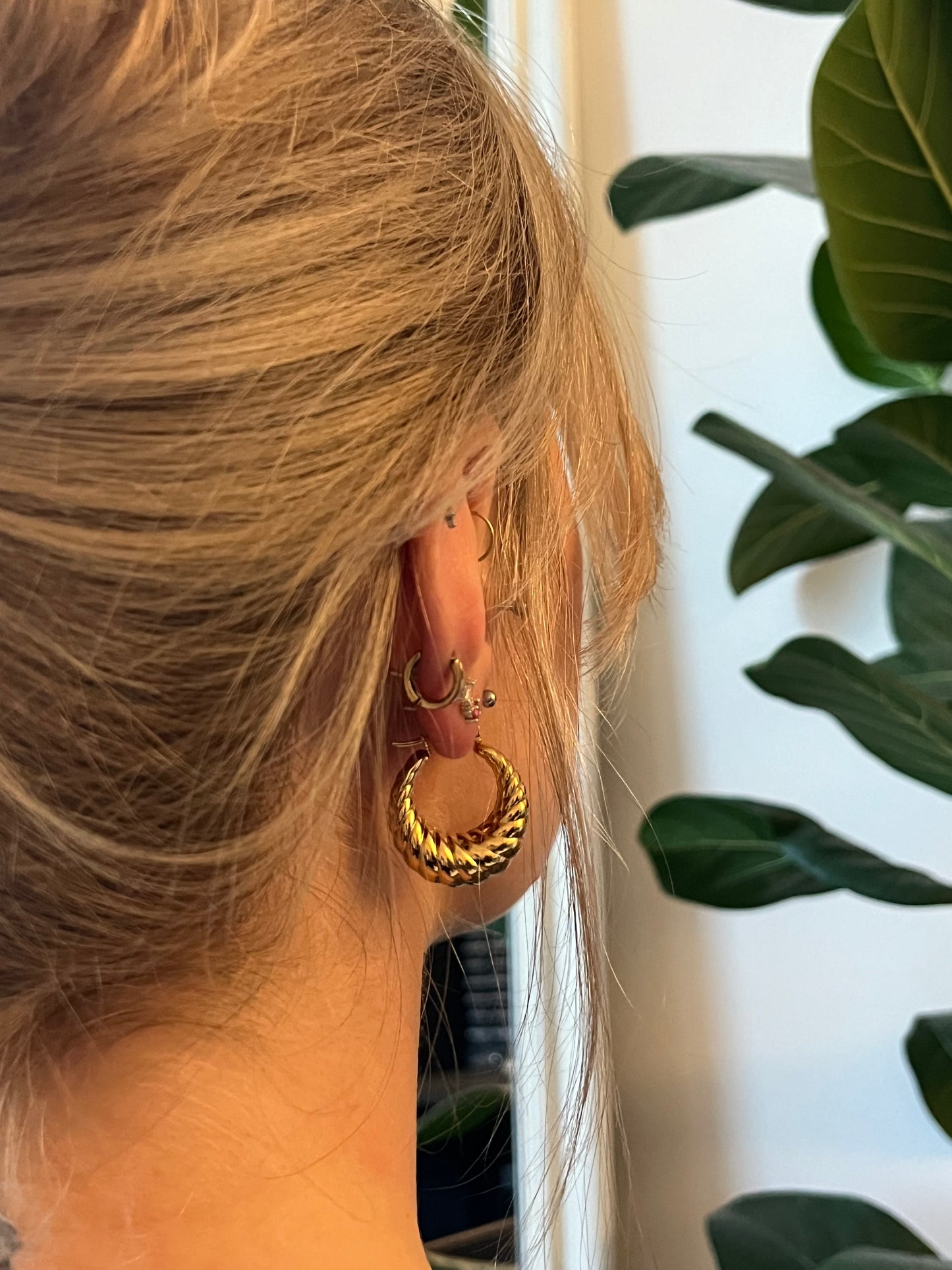The Luna Earrings