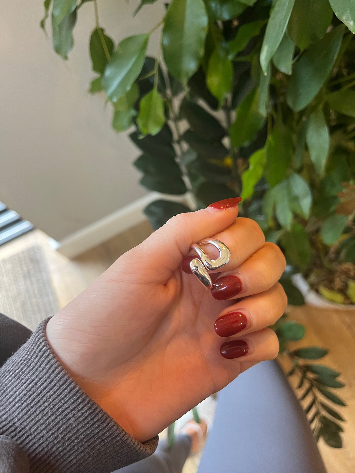 The Hollow Ring image 3