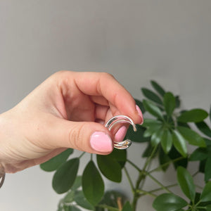 The Parallel Ring image 2