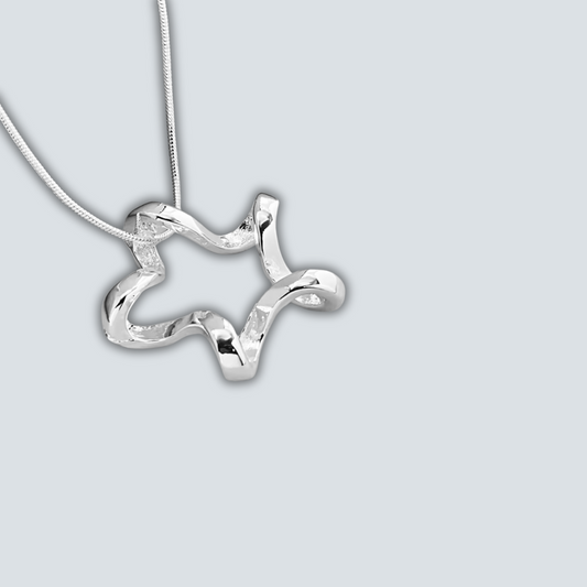 The Star Necklace image 0