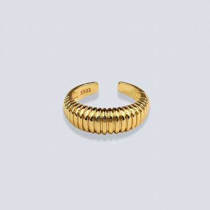 The Dome Ring image 0