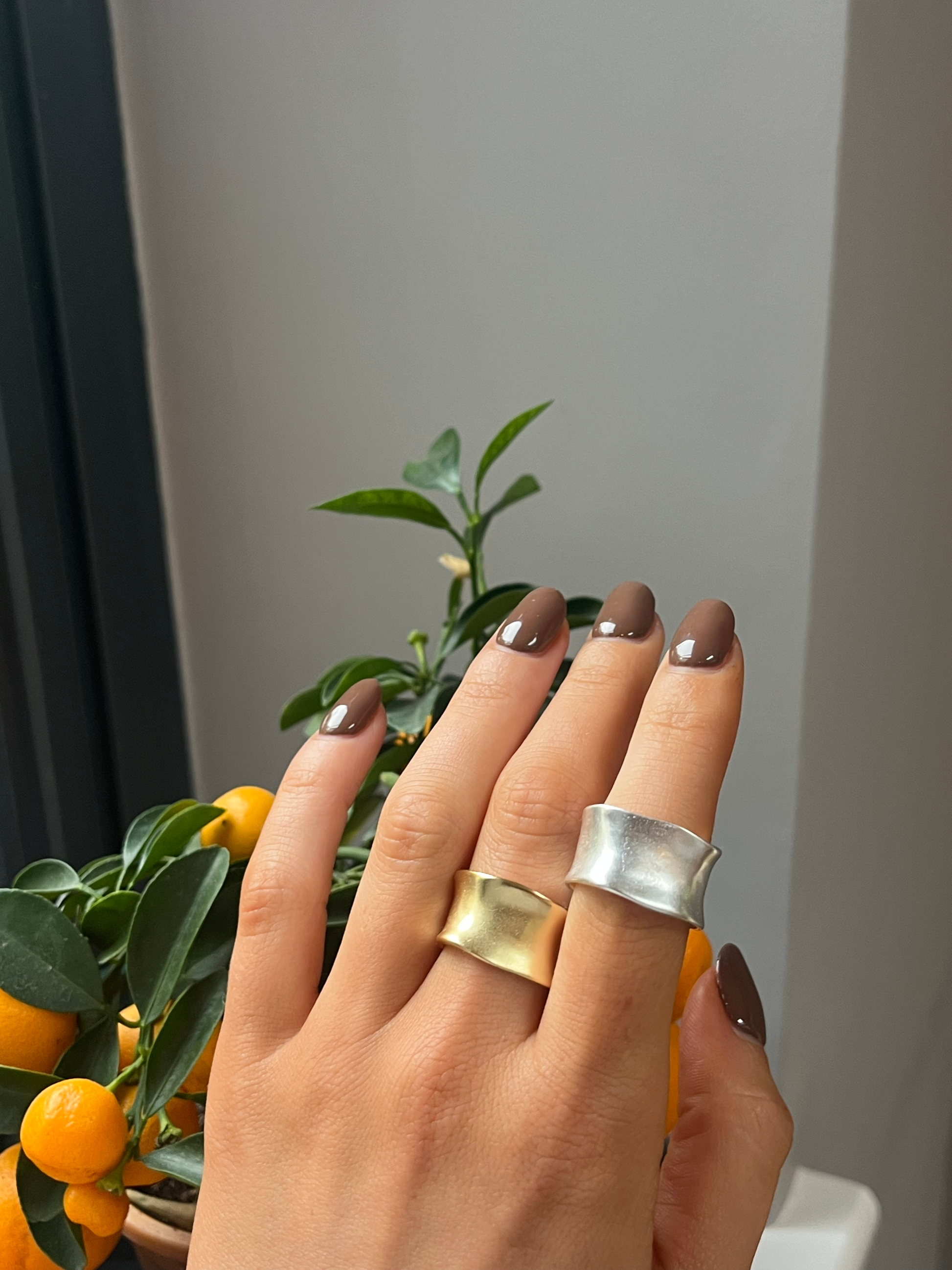 The Satin Ring image 1