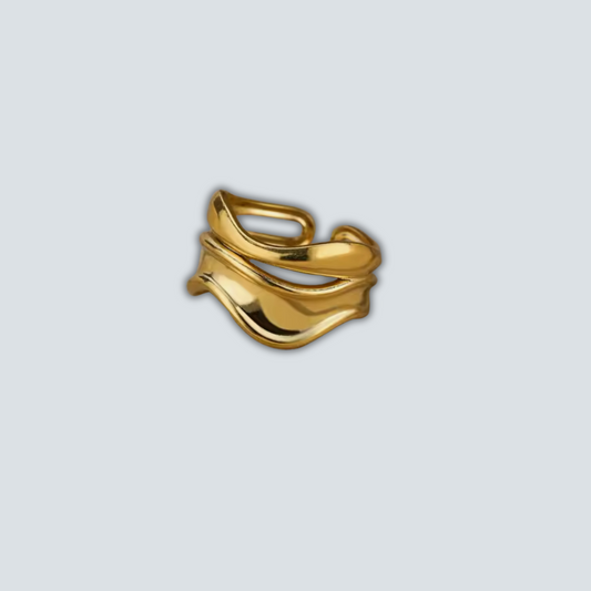 The Sea Ring image 0