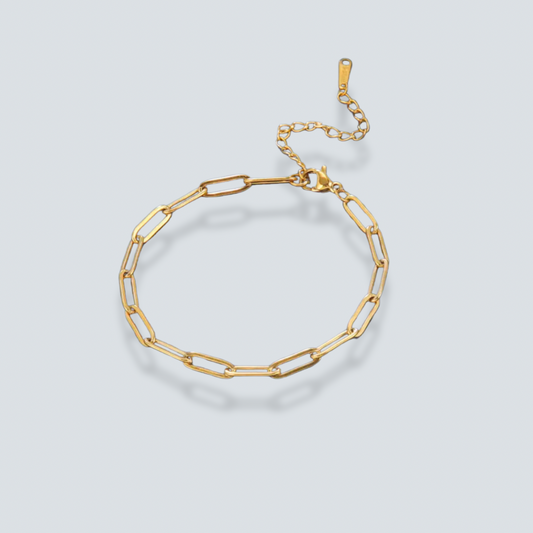 The Paperclip Anklet image 0
