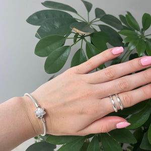 The Parallel Ring image 1