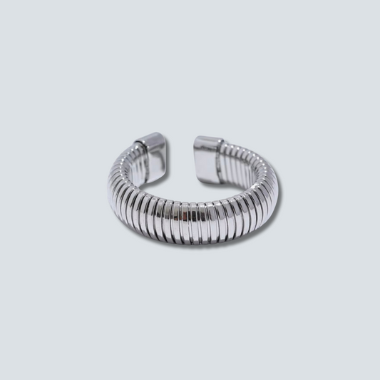 Silver RING on a light gray background