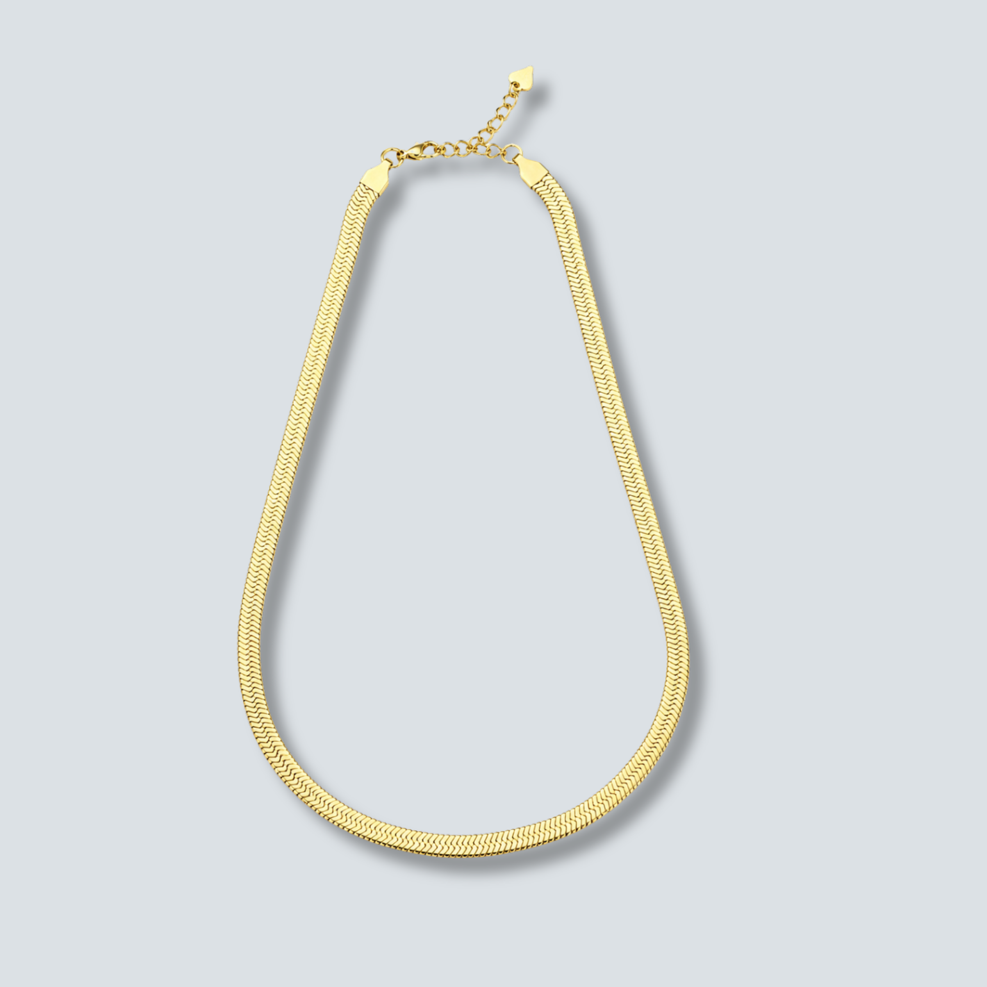The Snake Chain Necklace