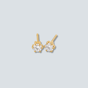 The Star Stone Studs