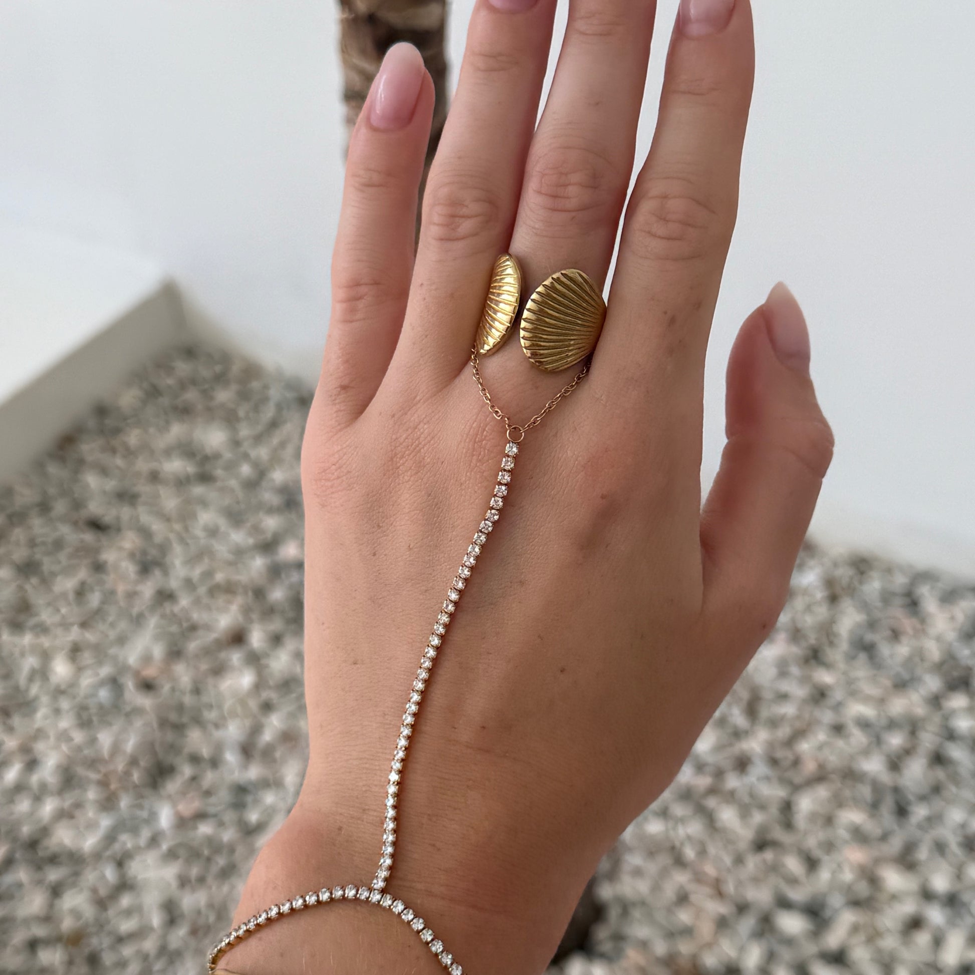 The Seashell Ring
