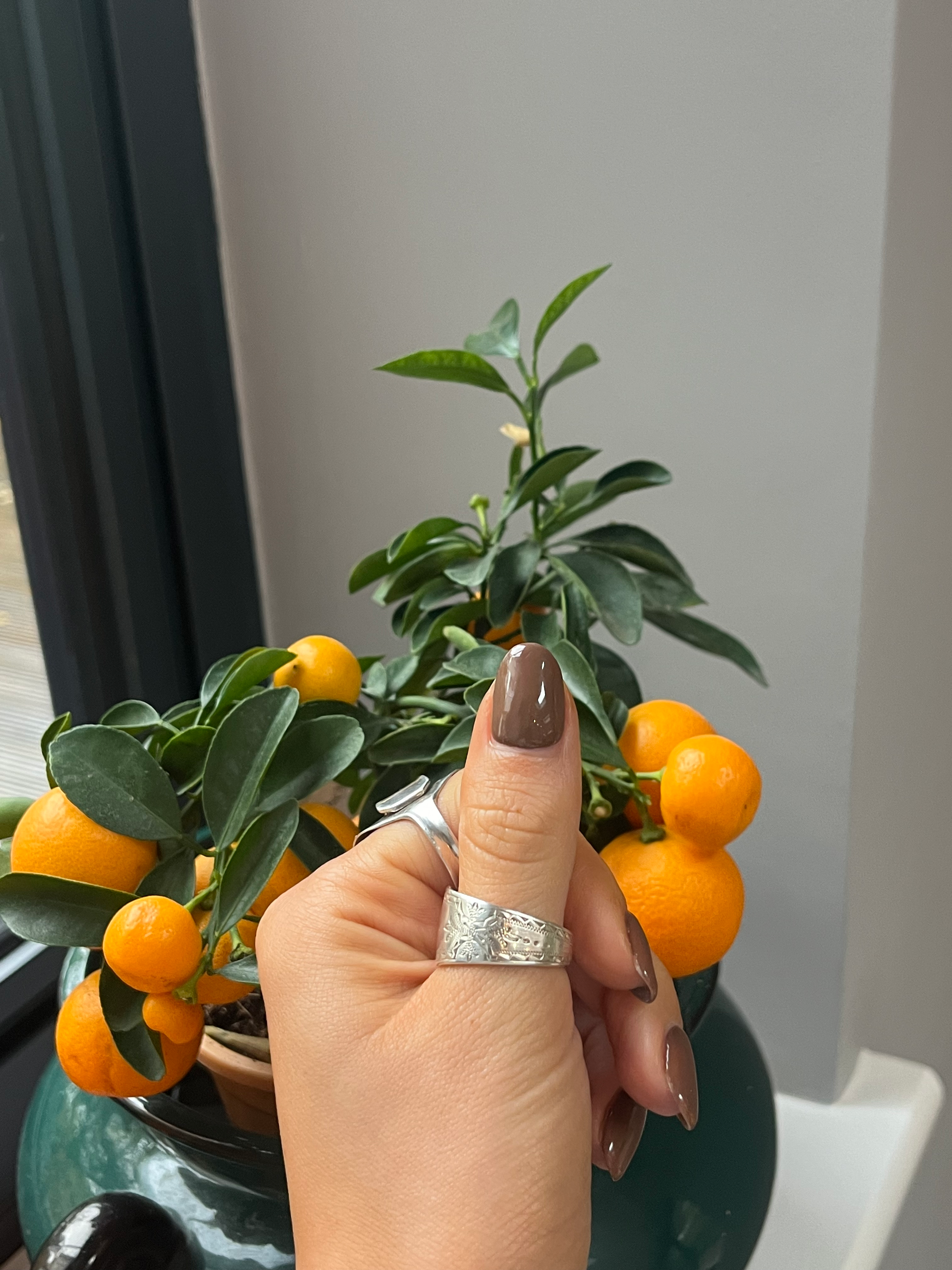 The Patterned Single Wrap Spoon Ring image 1