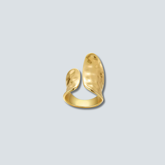 The Hammered Ring image 0